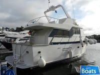 Tayana N47