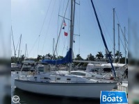 Hunter 31