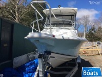 Angler 2500 WA