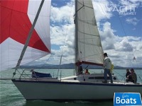 Delta Marine 31