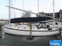 Nonsuch 36
