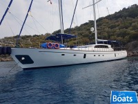 Custom Delphina Yachts Design