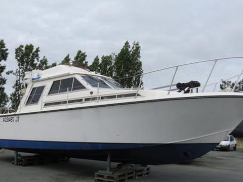 ACM 1100