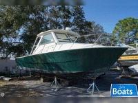 Spencer 28 Pilothouse