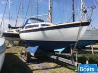 Newbridge Virgo Voyager