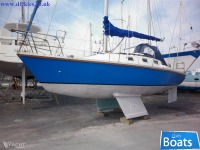 Pacesetter 28