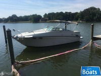 Crownline 262 Cr