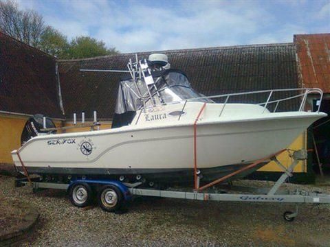 Sea Fox 236