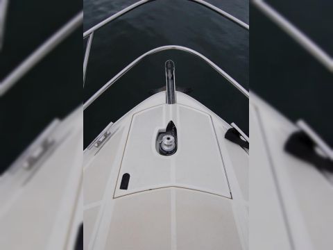Købe 2009 Absolute 39