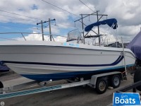 Cobia 204 center console