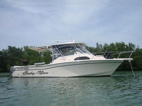 2007 Grady White 300 Marlin for sale. View price, photos and Buy 2007