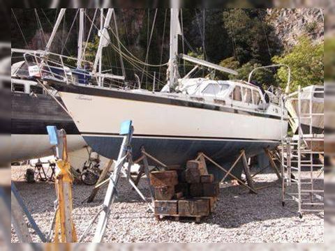 Sea Finn 37
