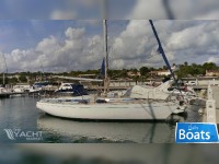 Stern Magoo 42