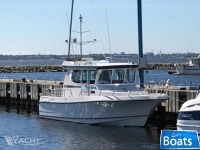 Nord Star 28 Patrol Flybridge