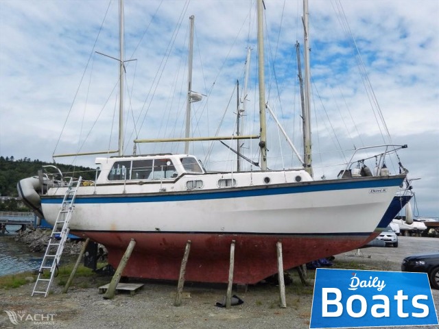 игроки нба 2022. атланта 31. атланта 31. фэил стэйт. фредерик оклахома.