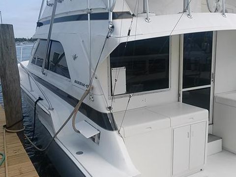 1989 Bertram 43