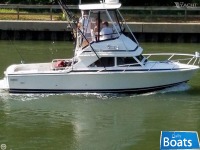 Bertram Yachts 28