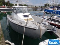 Bord a Bord Dervinis 800