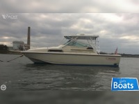 Boston Whaler 31