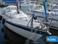 Hallberg Rassy 312 Sc
