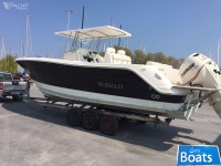 Robalo R300