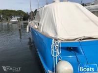 Mochi Craft Dolphin 44