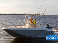 Bayliner Element F21