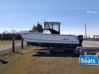 Pro Sports 2200 CC ProKat