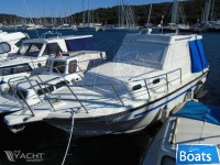 DAMOR DAMOR 900