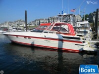 Profil Hawk 50