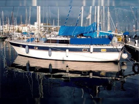 Neptune 41