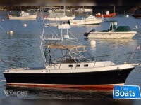 Albin 28 TE