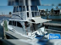 Striker 46