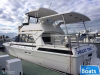 Riviera 40