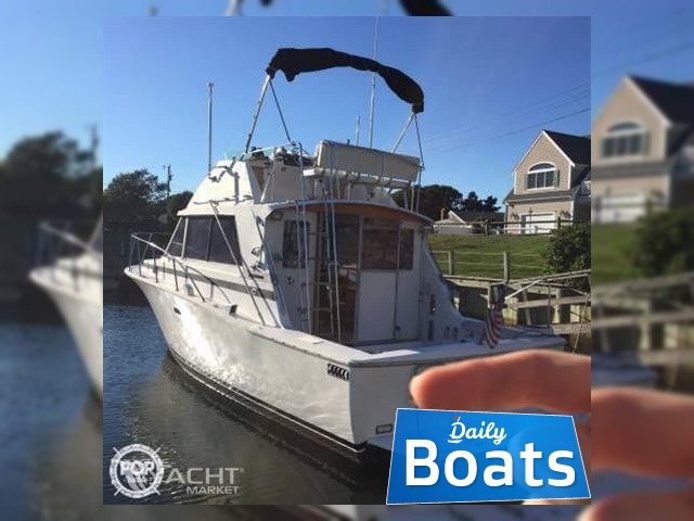 Buy 1978 Bertram 33 Convertible