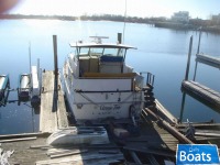 Bertram Yachts 38