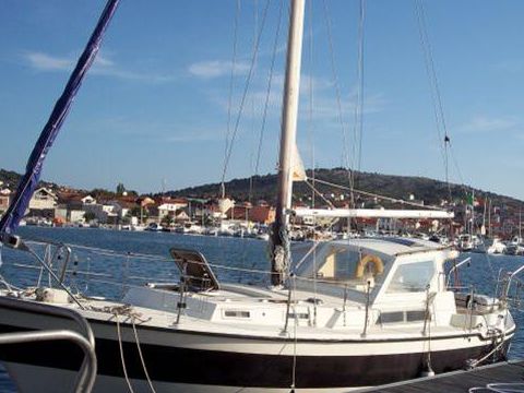 Koupit 1980 Multimare 98