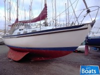 Seadog 30