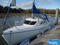 Hunter Ranger 245