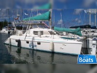 Manta 42