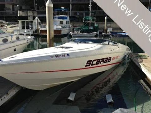 Scarab 30