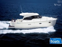 Rodman Spirit 31