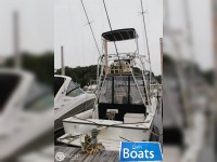 Carolina Classic 28 Express