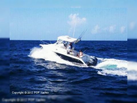 Buy 2007 Century 2400 Walkaround