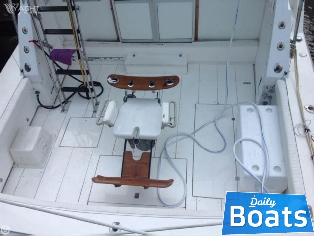Buy 1976 Bertram 42 Convertible
