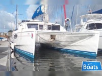 Robertson and Caine Leopard 38
