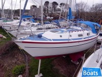 Colvic Countess 28
