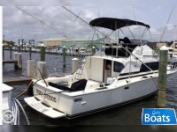 Bertram 33