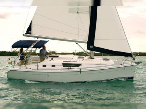 Hunter Legend 31