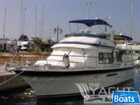 Tarquin (GB) TRADER 41